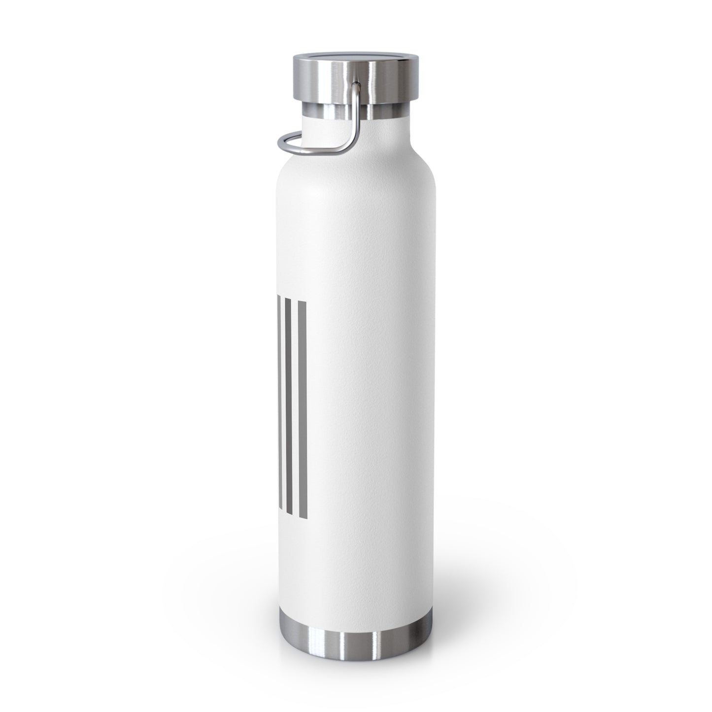 Freedom Collection (Thin Silver Line) - 22oz Vacuum Insulated Bottle